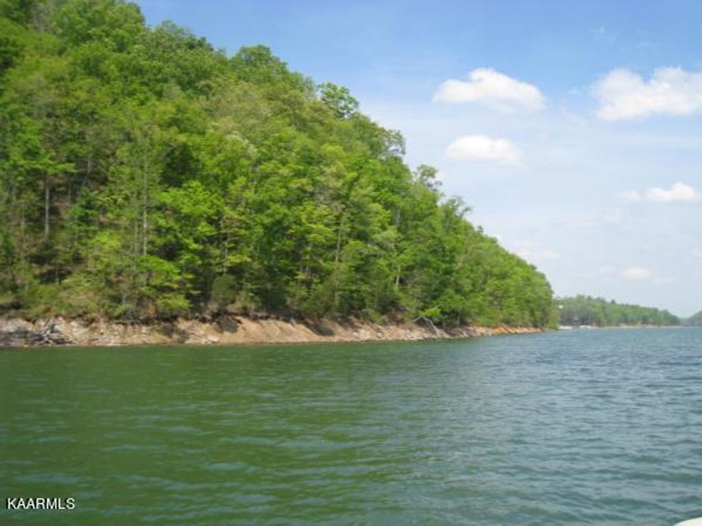 Photo of Driftwood Court, New Tazewell, TN 37825 (MLS # 1234617)