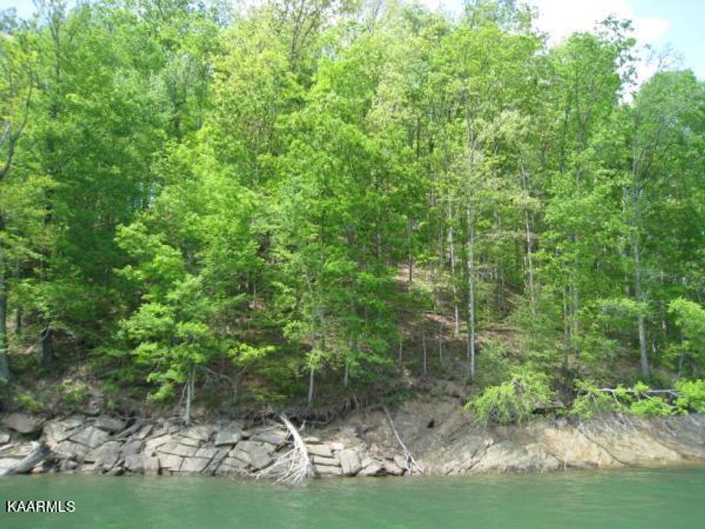 Photo of Driftwood Court, New Tazewell, TN 37825 (MLS # 1234617)