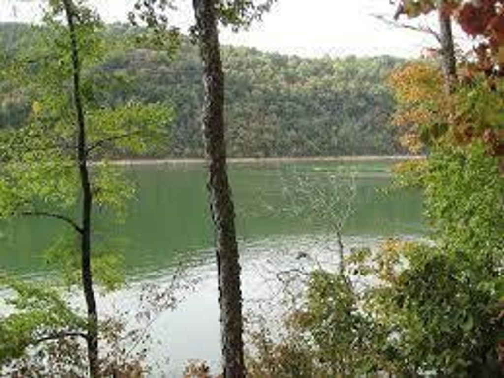 Photo of Driftwood Court, New Tazewell, TN 37825 (MLS # 1234617)