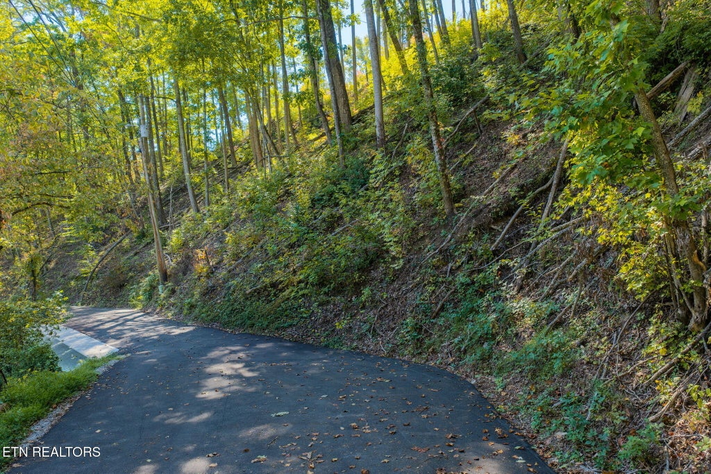 Photo of Whipoorwill Hill Way #28, Sevierville, TN 37862 (MLS # 1357892)