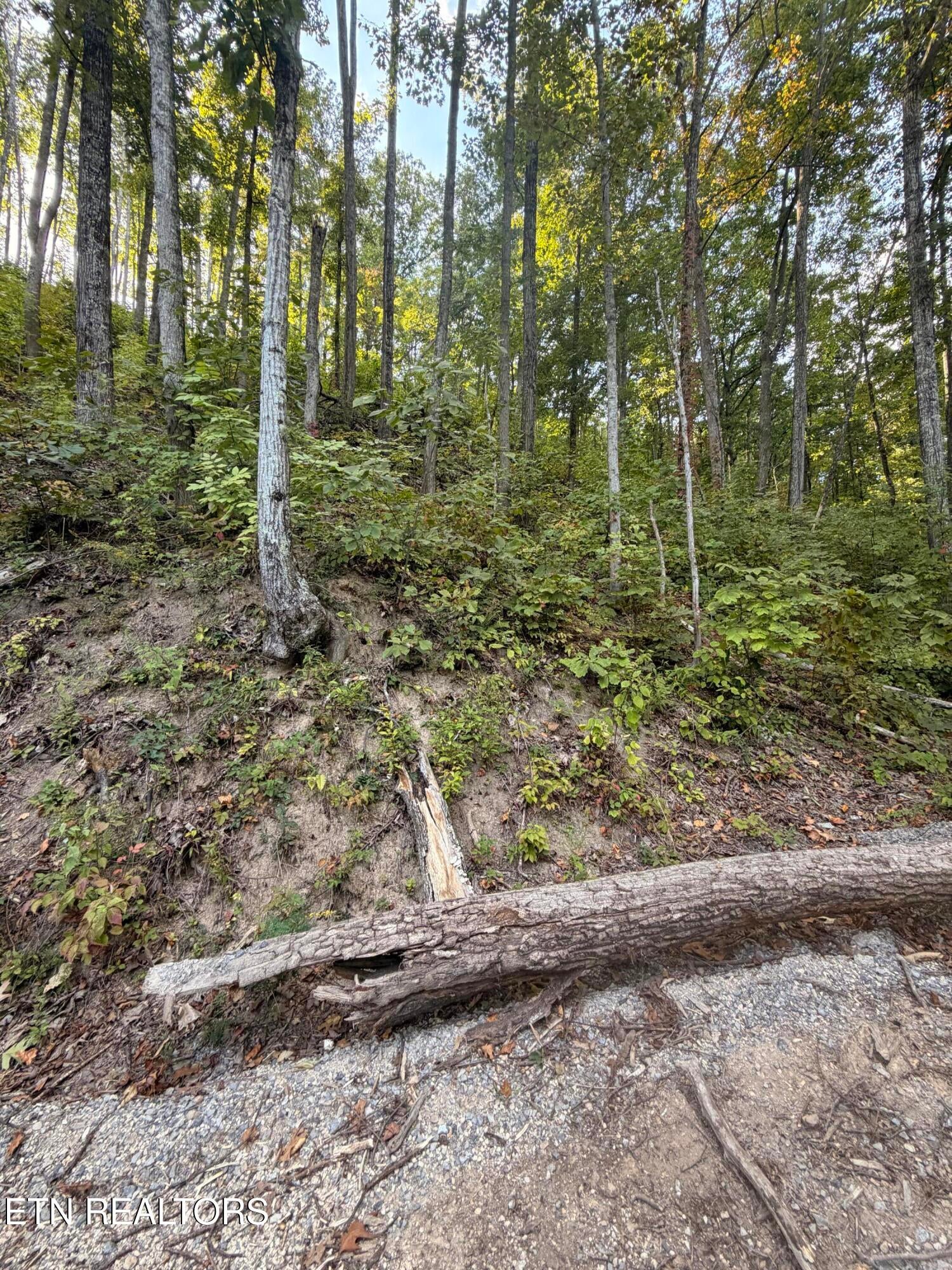 Whipoorwill Hill Way 28