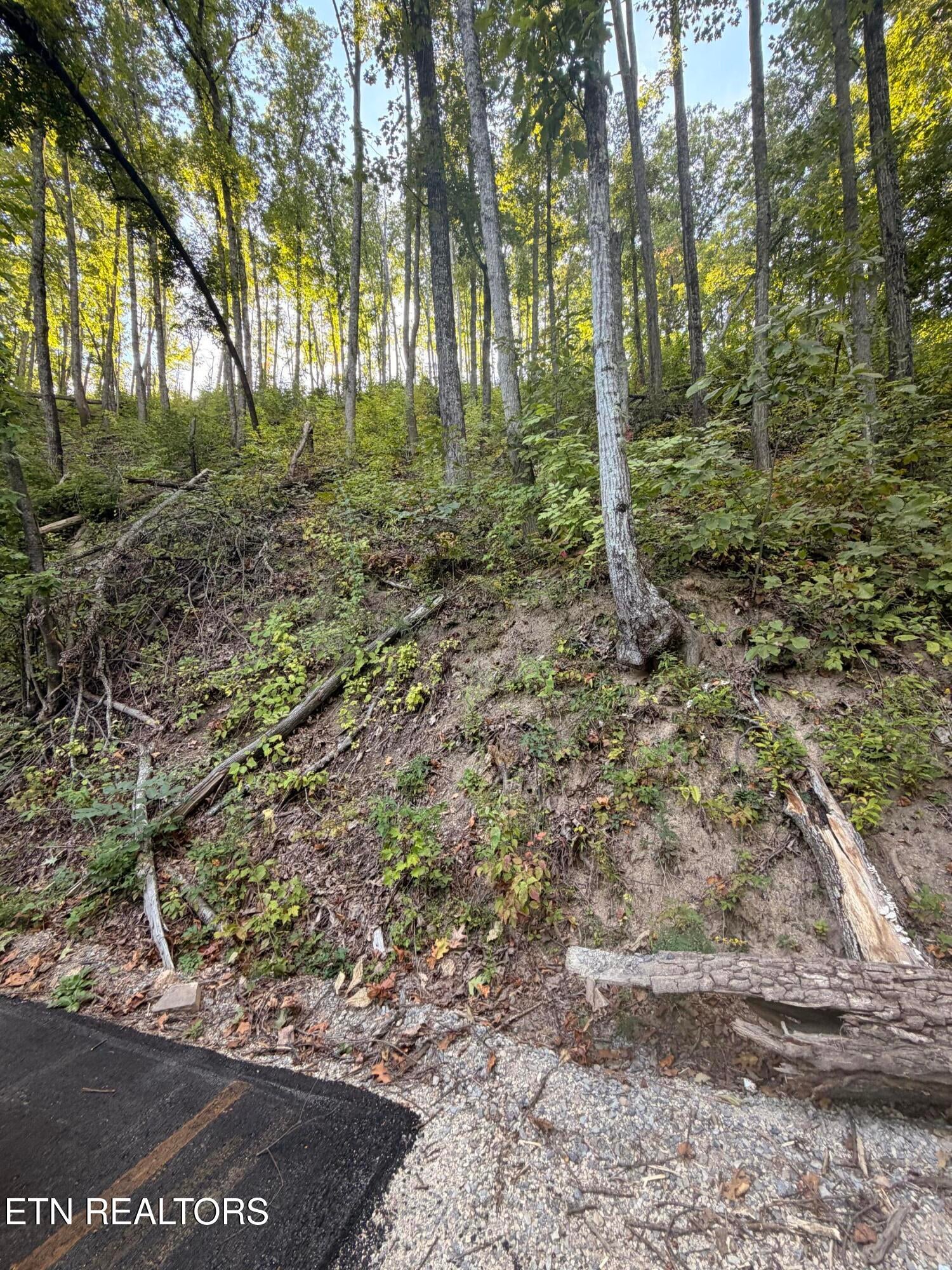 Whipoorwill Hill Way 28