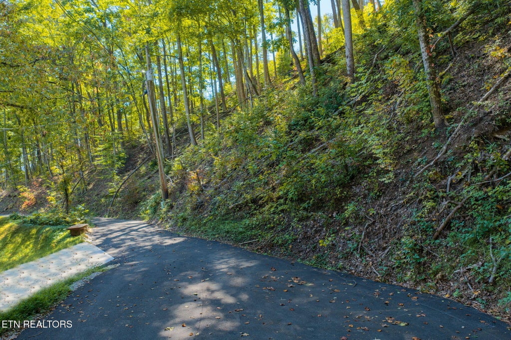 Photo of Whipoorwill Hill Way #28, Sevierville, TN 37862 (MLS # 1357892)