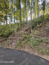 Whipoorwill Hill Way 28 Sevierville TN 37862
