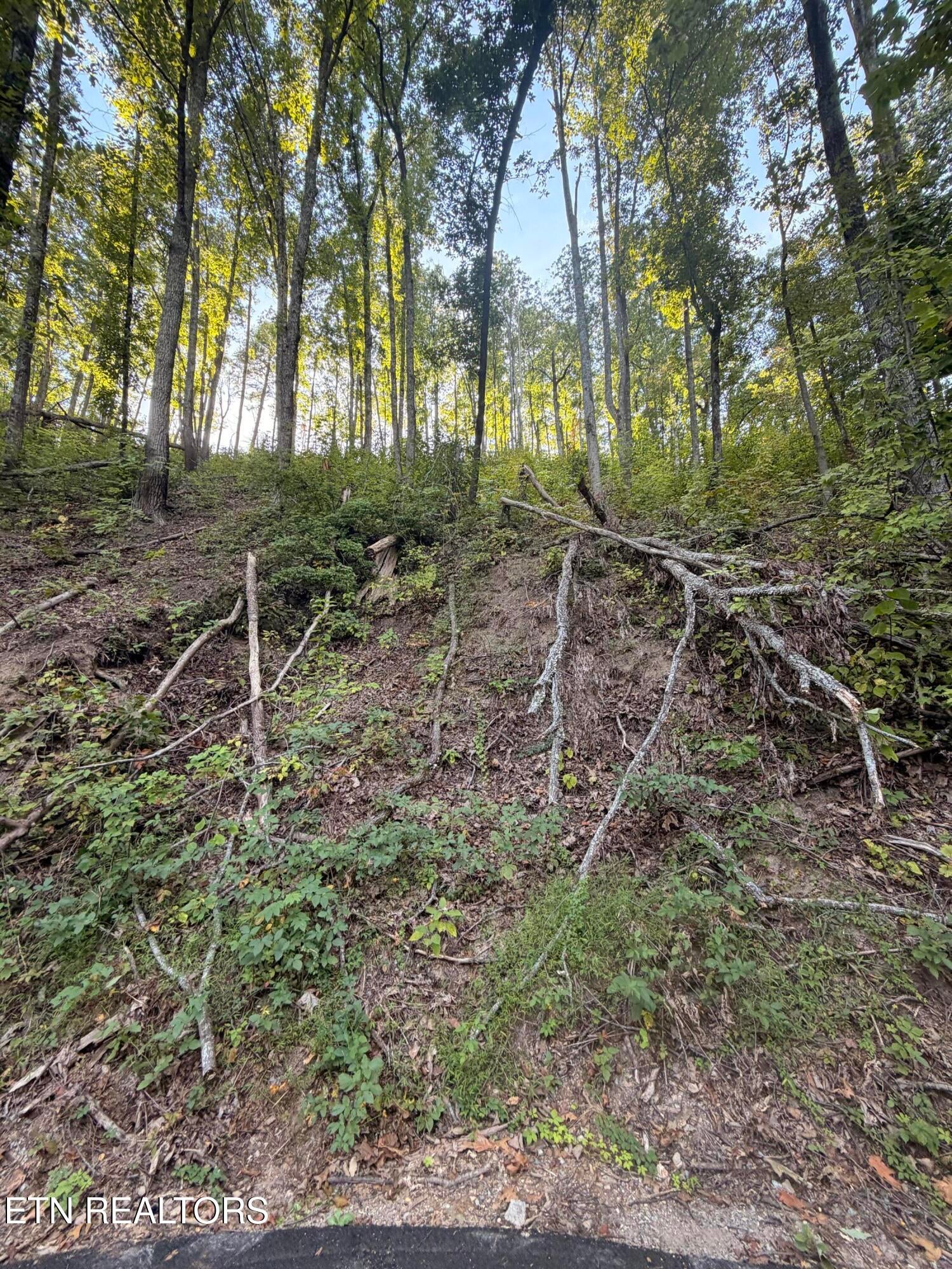 Whipoorwill Hill Way 28