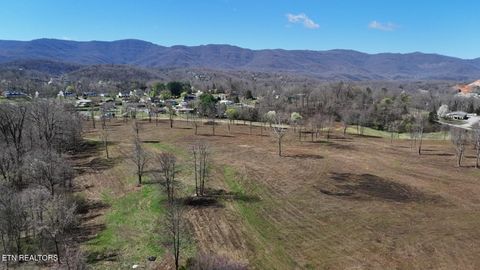 Tiny photo for Stone Mill Tracts 5 & 6 Rd, Jacksboro, TN 37757 (MLS # 1332591)