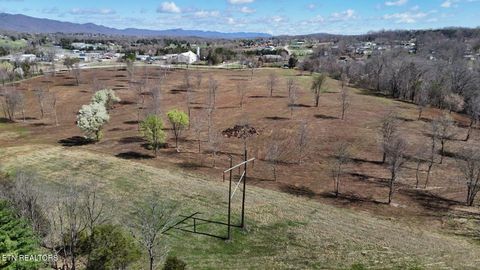 Tiny photo for Stone Mill Tracts 5 & 6 Rd, Jacksboro, TN 37757 (MLS # 1332591)