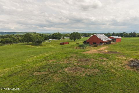 Tiny photo for 1630115 Silver City Rd, Whitesburg, TN 37891 (MLS # 1346175)