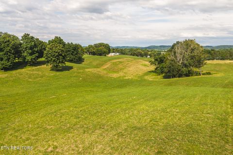 Tiny photo for 1630115 Silver City Rd, Whitesburg, TN 37891 (MLS # 1346175)