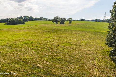 Tiny photo for 1630115 Silver City Rd, Whitesburg, TN 37891 (MLS # 1346175)