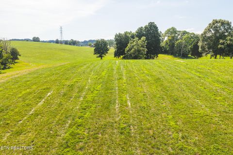 Tiny photo for 1630115 Silver City Rd, Whitesburg, TN 37891 (MLS # 1346175)