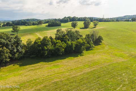 Tiny photo for 1630115 Silver City Rd, Whitesburg, TN 37891 (MLS # 1346175)