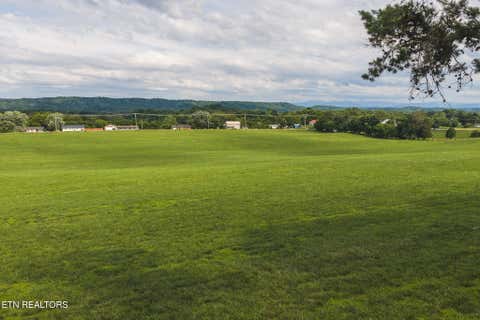 Tiny photo for 1630115 Silver City Rd, Whitesburg, TN 37891 (MLS # 1346175)