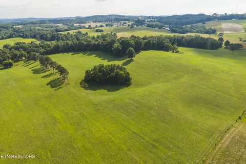 Tiny photo for 1630115 Silver City Rd, Whitesburg, TN 37891 (MLS # 1346175)