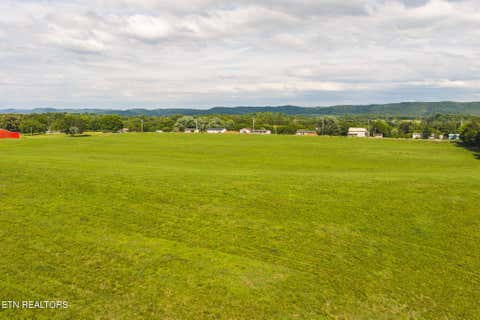 Tiny photo for 1630115 Silver City Rd, Whitesburg, TN 37891 (MLS # 1346175)