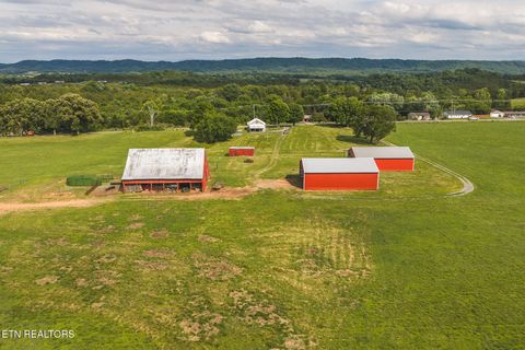 Photo of 1630115 Silver City Rd, Whitesburg, TN 37891 (MLS # 1346175)