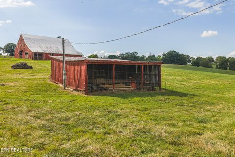 Tiny photo for 1630115 Silver City Rd, Whitesburg, TN 37891 (MLS # 1346175)