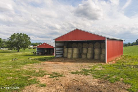 Tiny photo for 1630115 Silver City Rd, Whitesburg, TN 37891 (MLS # 1346175)