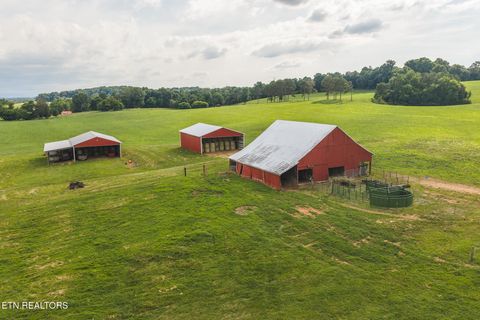 Tiny photo for 1630115 Silver City Rd, Whitesburg, TN 37891 (MLS # 1346175)