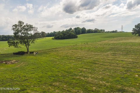 Tiny photo for 1630115 Silver City Rd, Whitesburg, TN 37891 (MLS # 1346175)
