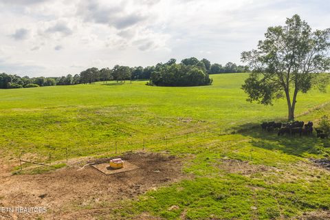 Tiny photo for 1630115 Silver City Rd, Whitesburg, TN 37891 (MLS # 1346175)