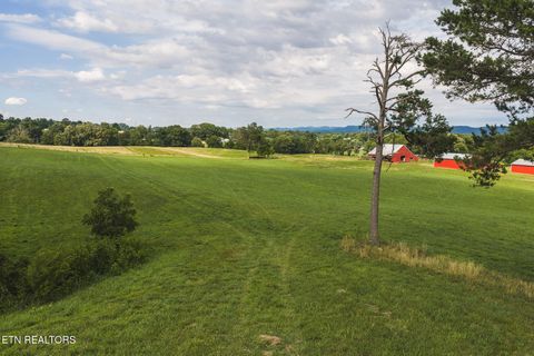 Tiny photo for 1630115 Silver City Rd, Whitesburg, TN 37891 (MLS # 1346175)