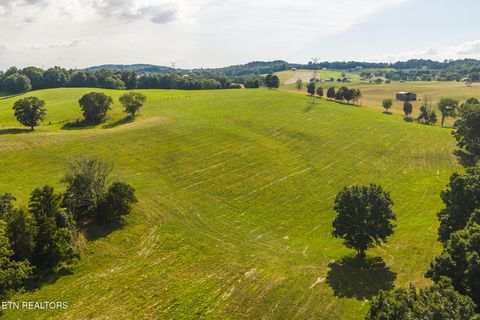 Tiny photo for 1630115 Silver City Rd, Whitesburg, TN 37891 (MLS # 1346175)