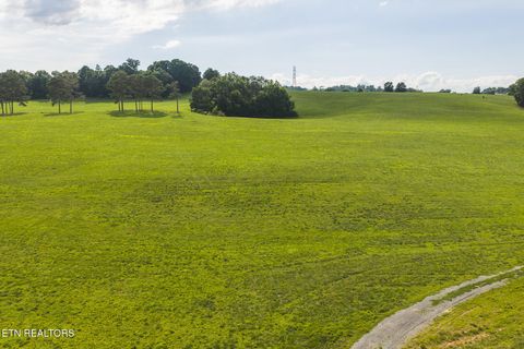 Tiny photo for 1630115 Silver City Rd, Whitesburg, TN 37891 (MLS # 1346175)