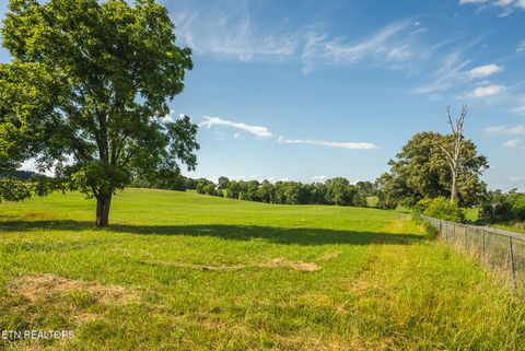 Tiny photo for 1630115 Silver City Rd, Whitesburg, TN 37891 (MLS # 1346175)