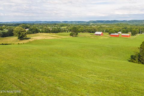 Tiny photo for 1630115 Silver City Rd, Whitesburg, TN 37891 (MLS # 1346175)