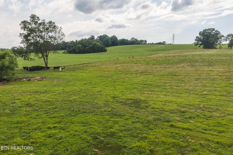 Tiny photo for 1630115 Silver City Rd, Whitesburg, TN 37891 (MLS # 1346175)