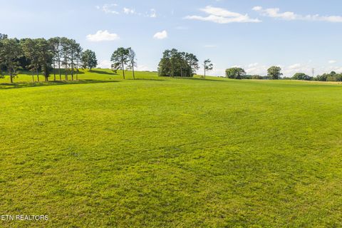Tiny photo for 1630115 Silver City Rd, Whitesburg, TN 37891 (MLS # 1346175)