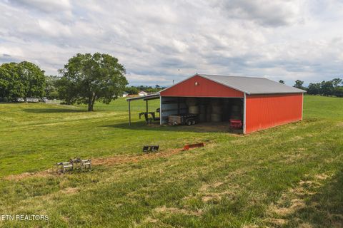 Tiny photo for 1630115 Silver City Rd, Whitesburg, TN 37891 (MLS # 1346175)