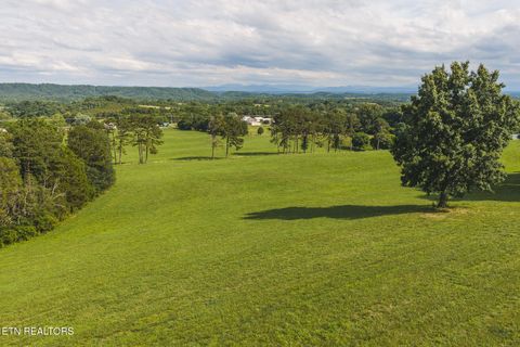 Tiny photo for 1630115 Silver City Rd, Whitesburg, TN 37891 (MLS # 1346175)