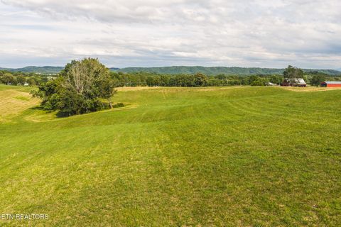 Tiny photo for 1630115 Silver City Rd, Whitesburg, TN 37891 (MLS # 1346175)