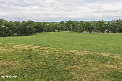 Tiny photo for 1630115 Silver City Rd, Whitesburg, TN 37891 (MLS # 1346175)
