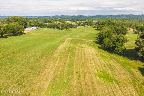 Tiny photo for 1630115 Silver City Rd, Whitesburg, TN 37891 (MLS # 1346175)
