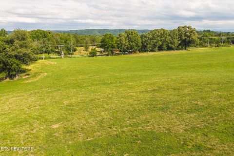 Tiny photo for 1630115 Silver City Rd, Whitesburg, TN 37891 (MLS # 1346175)