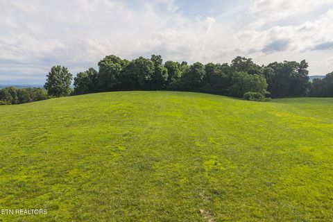Tiny photo for 1630115 Silver City Rd, Whitesburg, TN 37891 (MLS # 1346175)