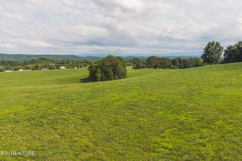 Tiny photo for 1630115 Silver City Rd, Whitesburg, TN 37891 (MLS # 1346175)