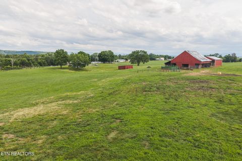 Tiny photo for 1630115 Silver City Rd, Whitesburg, TN 37891 (MLS # 1346175)