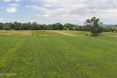 Tiny photo for 1630115 Silver City Rd, Whitesburg, TN 37891 (MLS # 1346175)