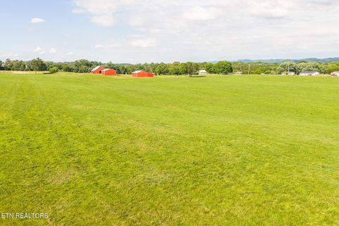 Tiny photo for 1630115 Silver City Rd, Whitesburg, TN 37891 (MLS # 1346175)