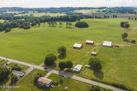 Tiny photo for 1630115 Silver City Rd, Whitesburg, TN 37891 (MLS # 1346175)