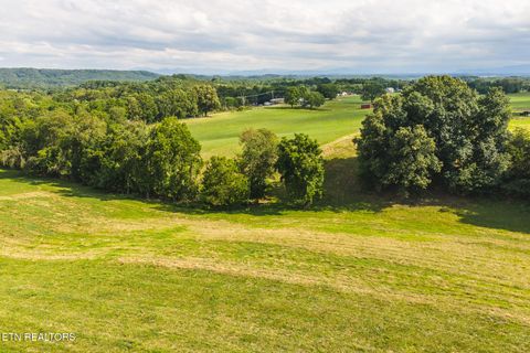 Tiny photo for 1630115 Silver City Rd, Whitesburg, TN 37891 (MLS # 1346175)
