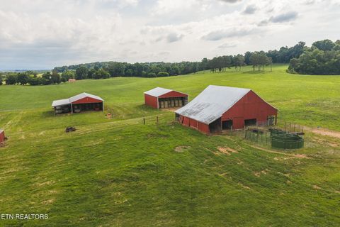 Tiny photo for 1630115 Silver City Rd, Whitesburg, TN 37891 (MLS # 1346175)