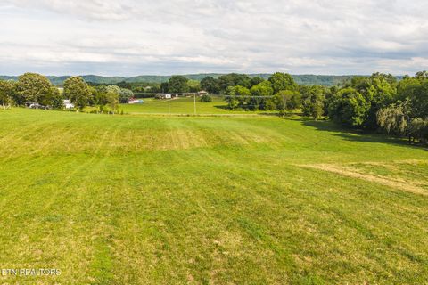 Tiny photo for 1630115 Silver City Rd, Whitesburg, TN 37891 (MLS # 1346175)