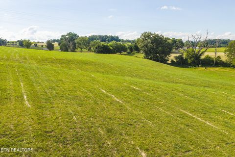 Tiny photo for 1630115 Silver City Rd, Whitesburg, TN 37891 (MLS # 1346175)