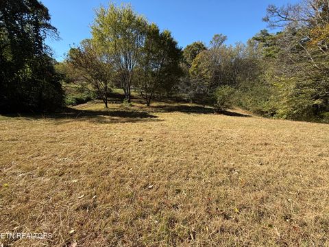 Tiny photo for 412 S Carter School Rd, Strawberry Plains, TN 37871 (MLS # 1319353)