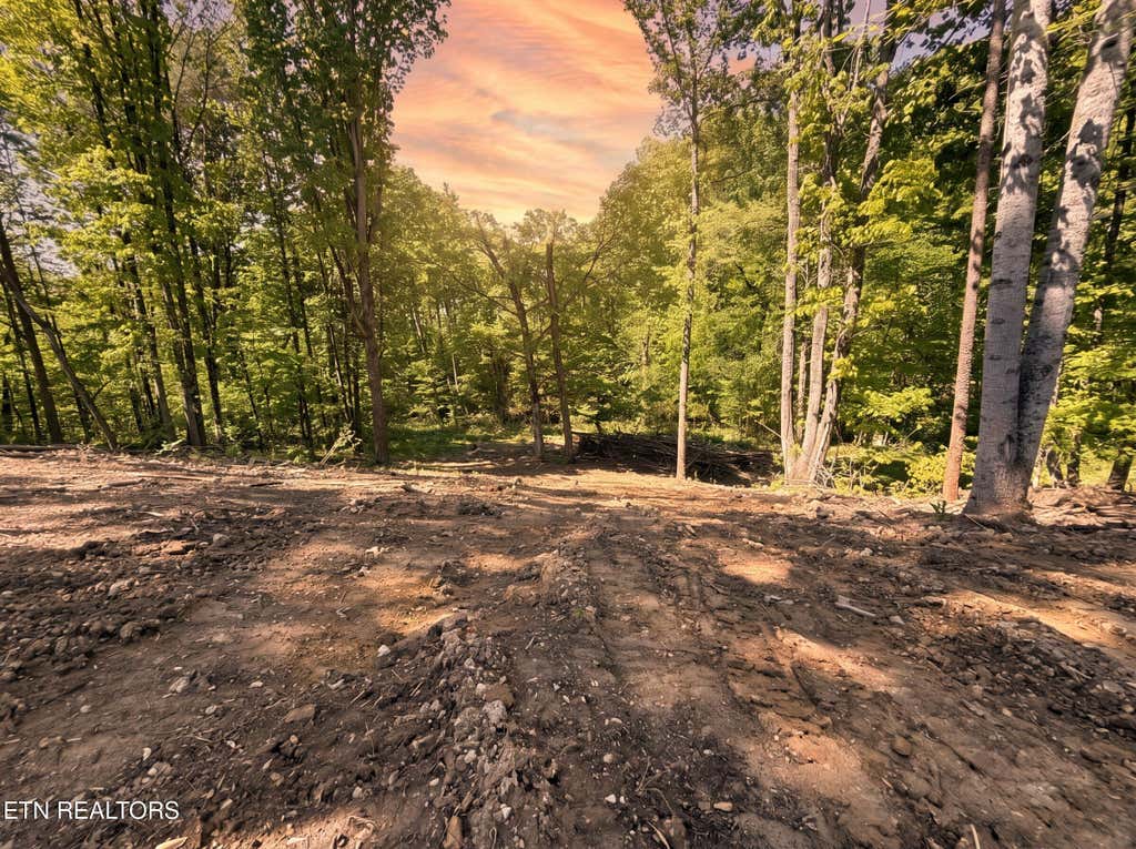 Photo of 839 Josana Lane, New Market, TN 37820 (MLS # 1337609)